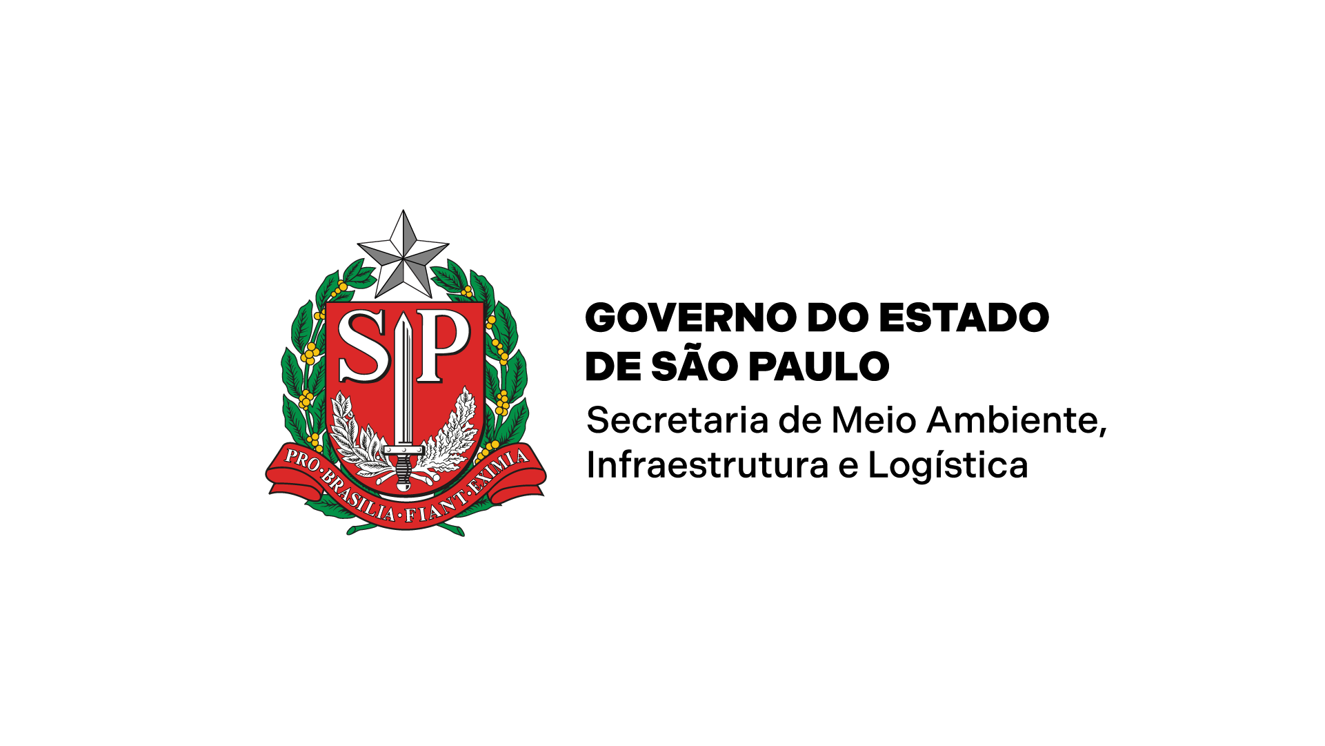 logomarca Governo de São Paulo